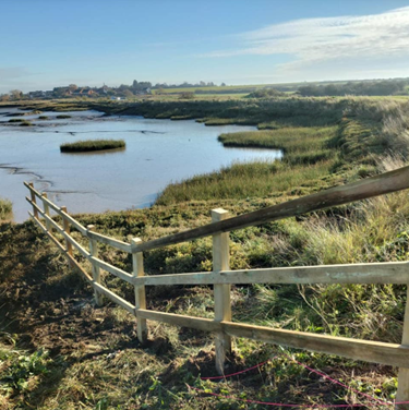 Sea Wall Post & Rail